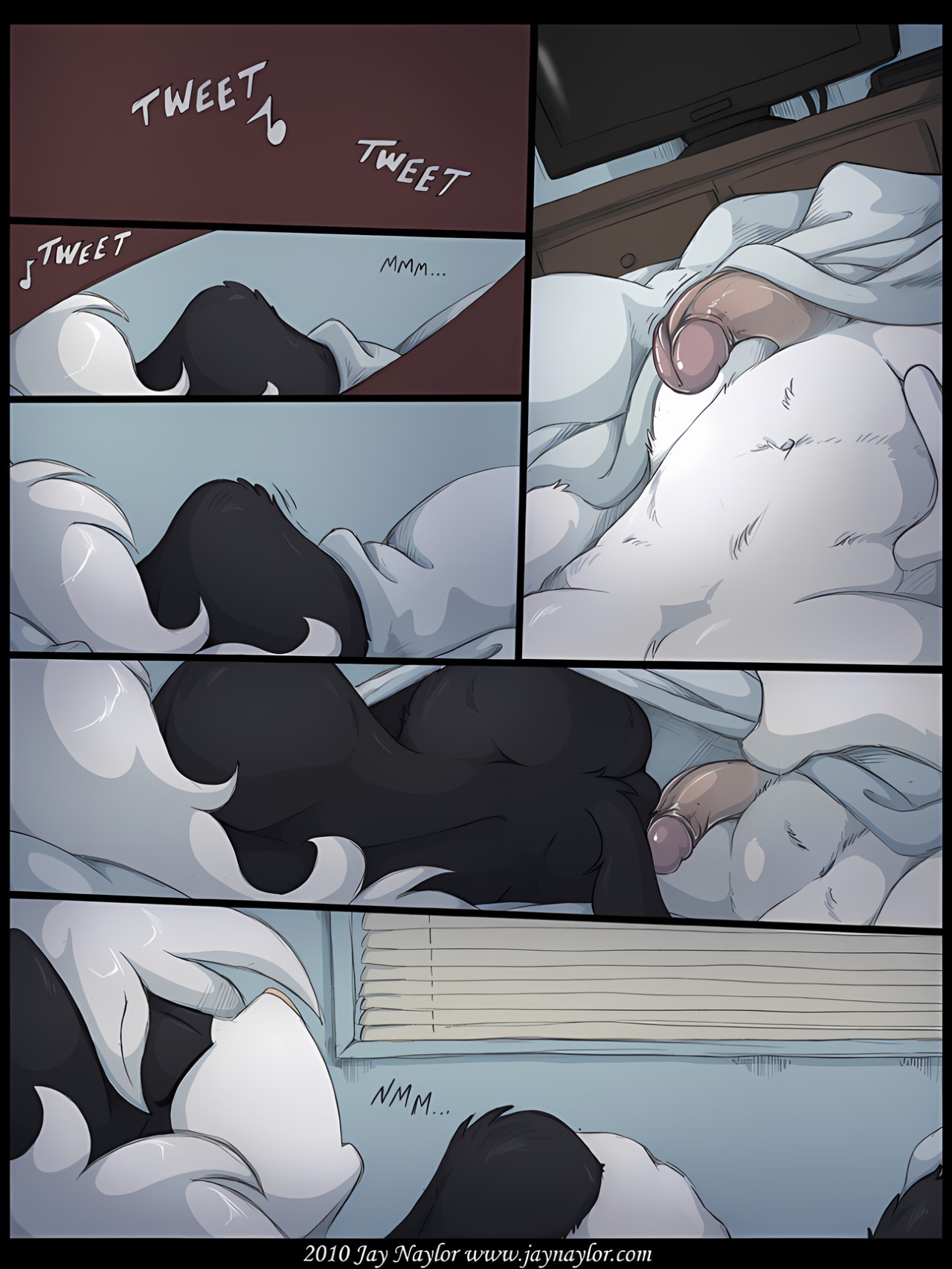 Good Morning, Tommy Hentai pt-br 03