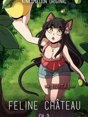 Feline Château 3