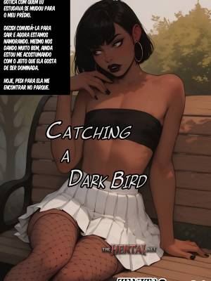 Catching a Dark Bird