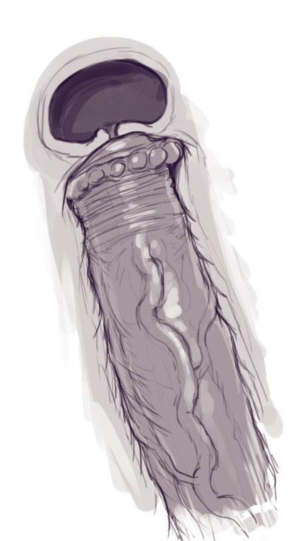 Power Girl On Darkseid Hentai pt-br 27